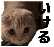 839132233