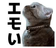 839132238