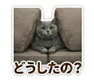 839132551