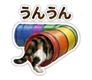 839132554