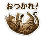 839132560