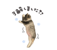 839133043