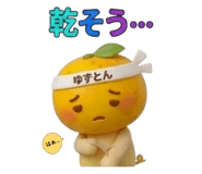 839133216