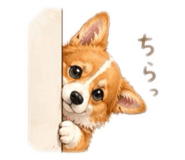 839133284