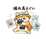 839133419