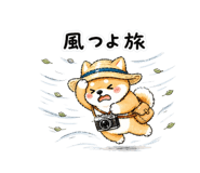 839133429