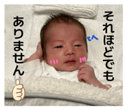 839133462