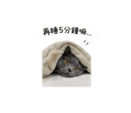 839133946