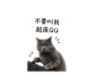 839133947