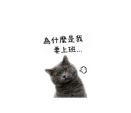839133950