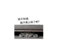 839133954
