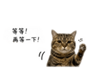 839133963