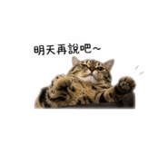 839133964