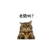 839133965