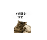 839133968