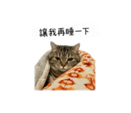 839133969
