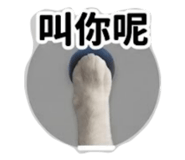 839134083