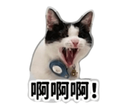 839134088