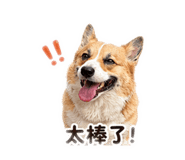 839134329