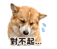 839134335