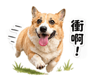 839134342