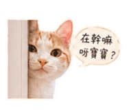 839134355