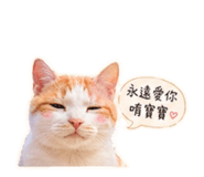 839134368