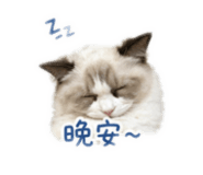 839134547