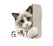 839134550