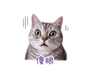 839134762