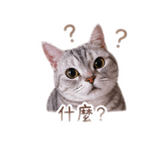 839134763