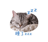 839134768