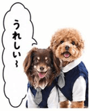 839137855