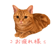 839138684