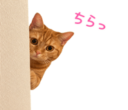 839138693