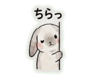 839140080