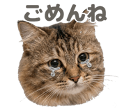 839140409