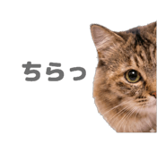 839140423