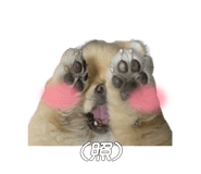 839140988