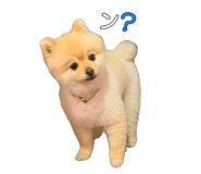 839140999