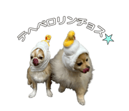839141000
