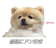 839141006