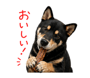 839141161