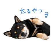 839141176