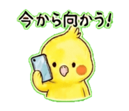 839141251