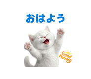 839141481