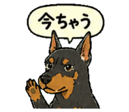 839141987