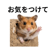 839142888