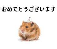 839142889