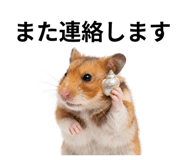 839142893